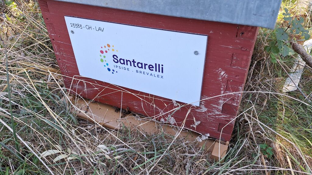 La ruche Santarelli