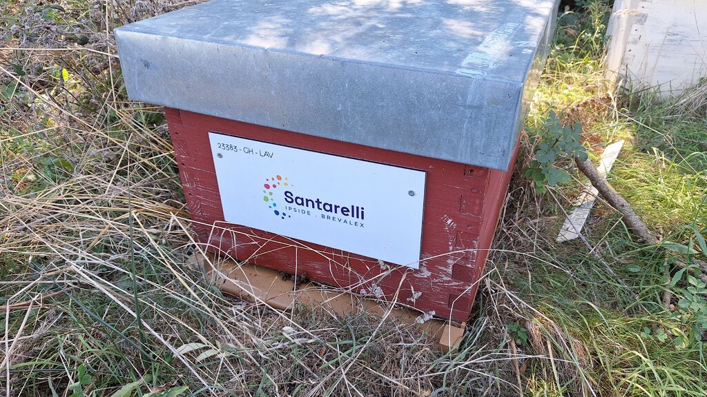 La ruche Santarelli