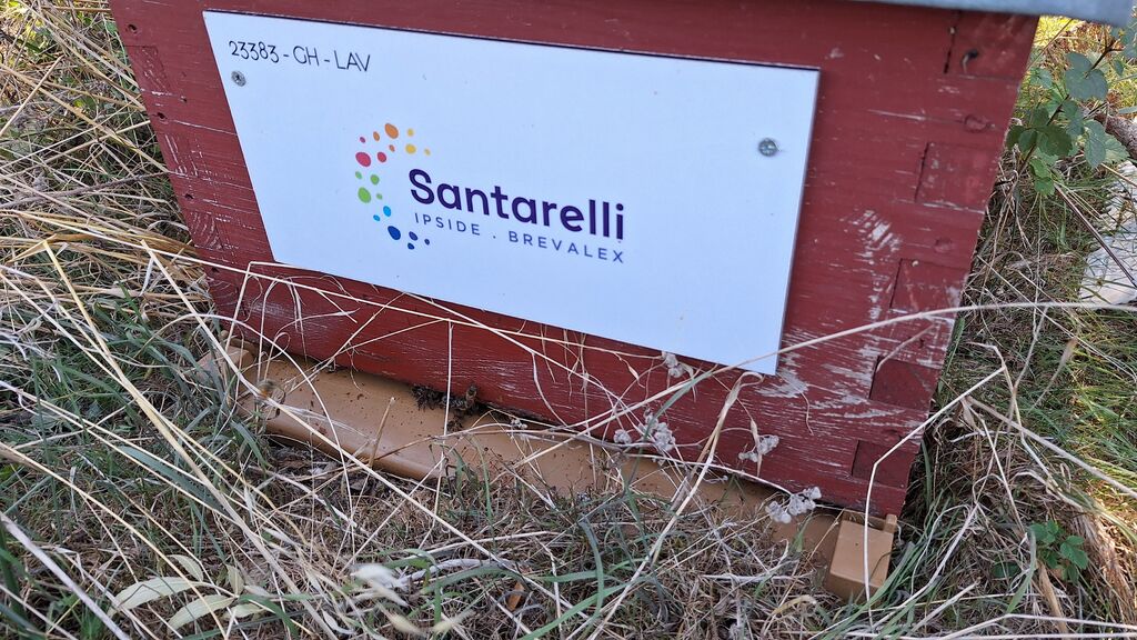 La ruche Santarelli