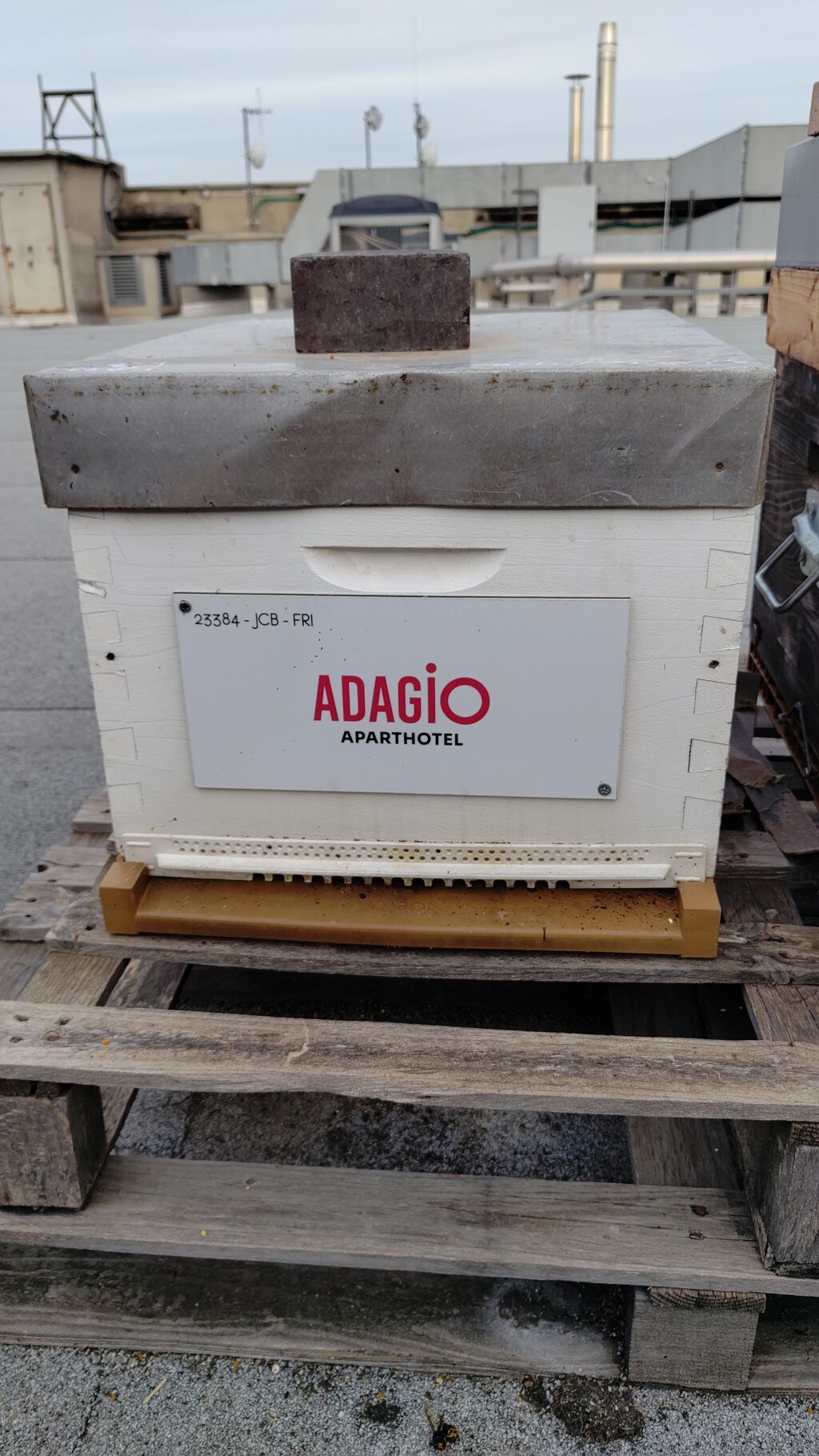 La ruche Pvcp city - adagio mrs st charles