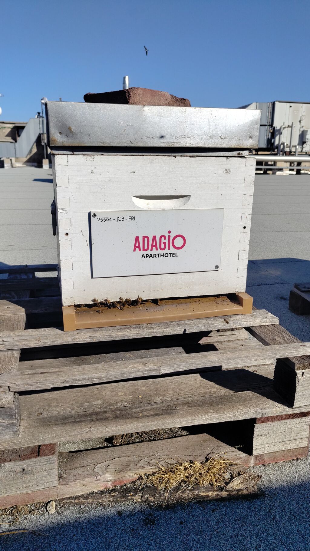 La ruche Pvcp city - adagio mrs st charles