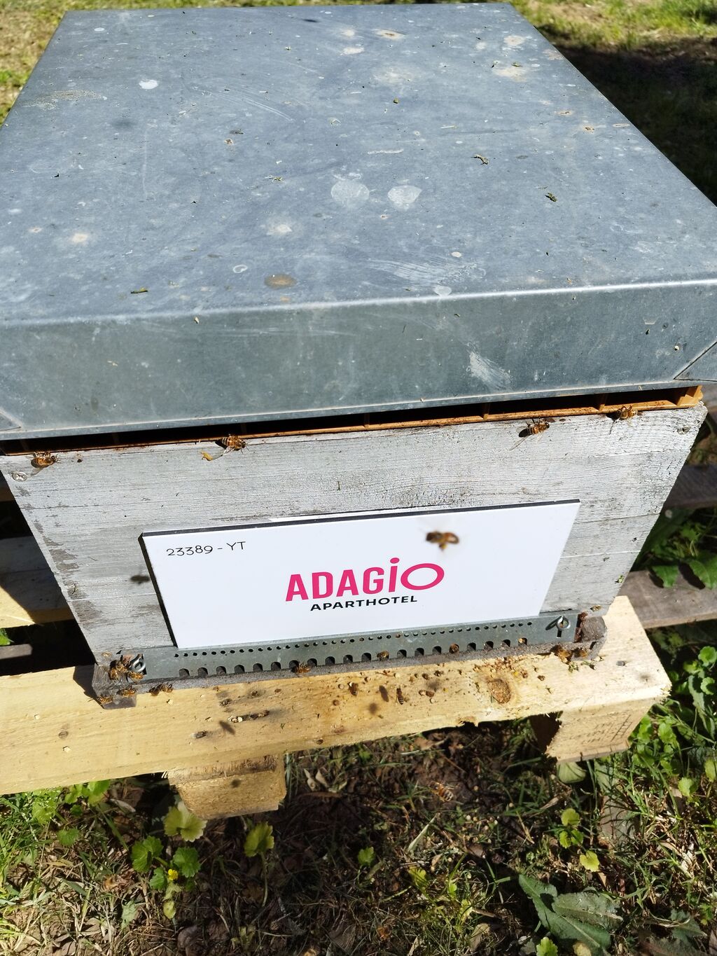 La ruche Adagio Monaco Monte Cristo