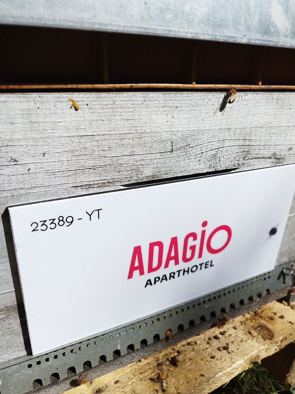 La ruche Adagio Monaco Monte Cristo