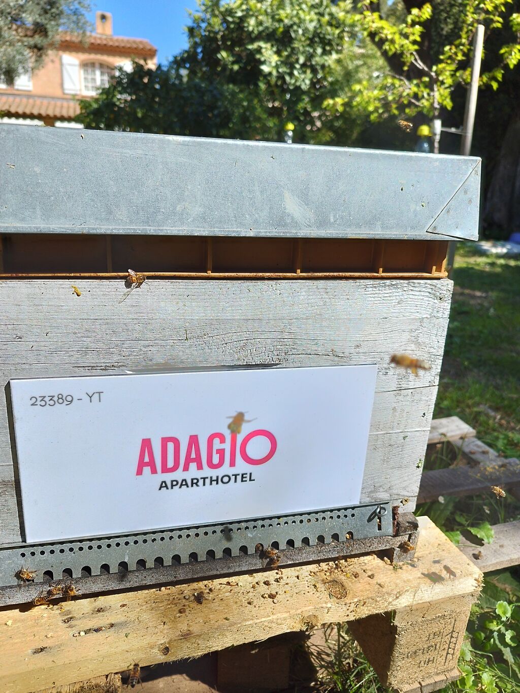 La ruche Adagio Monaco Monte Cristo