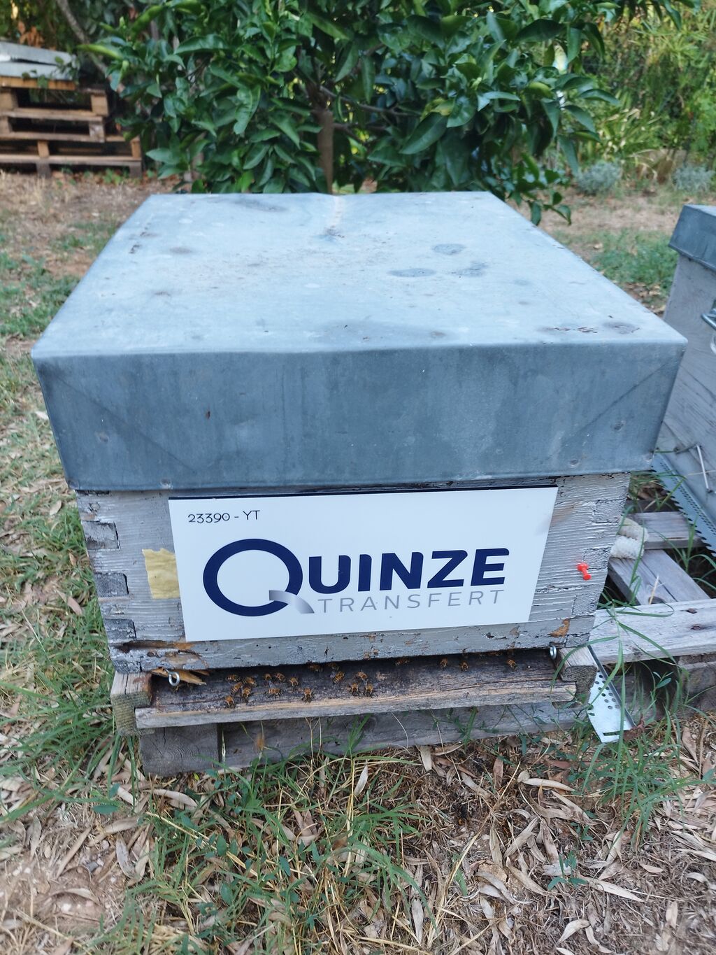 La ruche QUINZE TRANSFERT