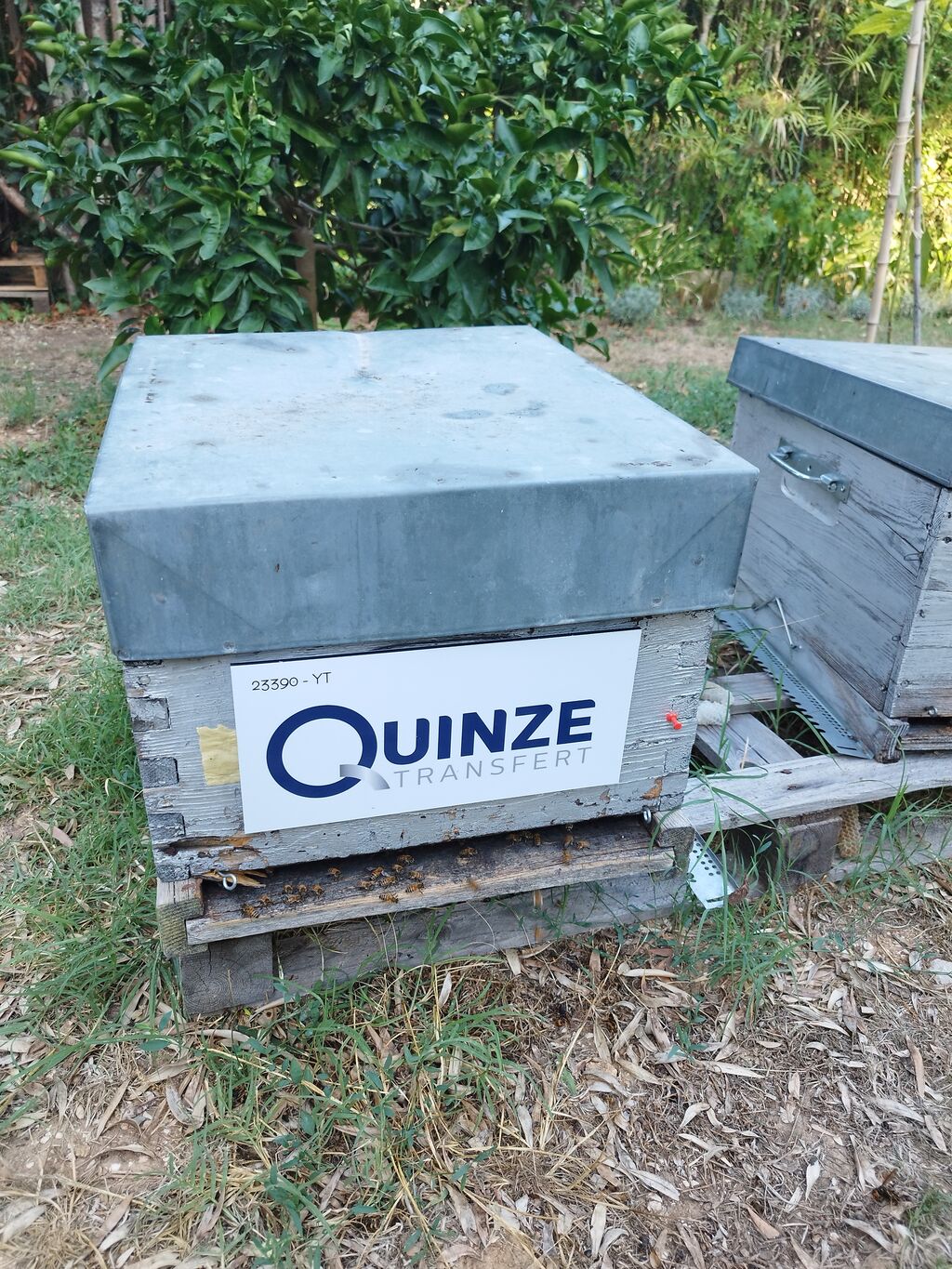 La ruche QUINZE TRANSFERT