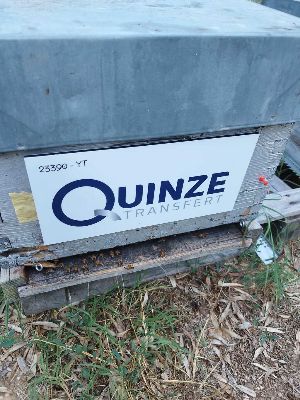 La ruche QUINZE TRANSFERT