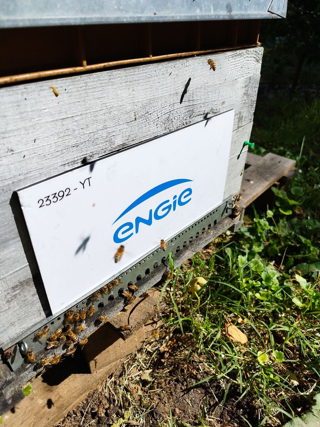La ruche ENGIE - MPPA