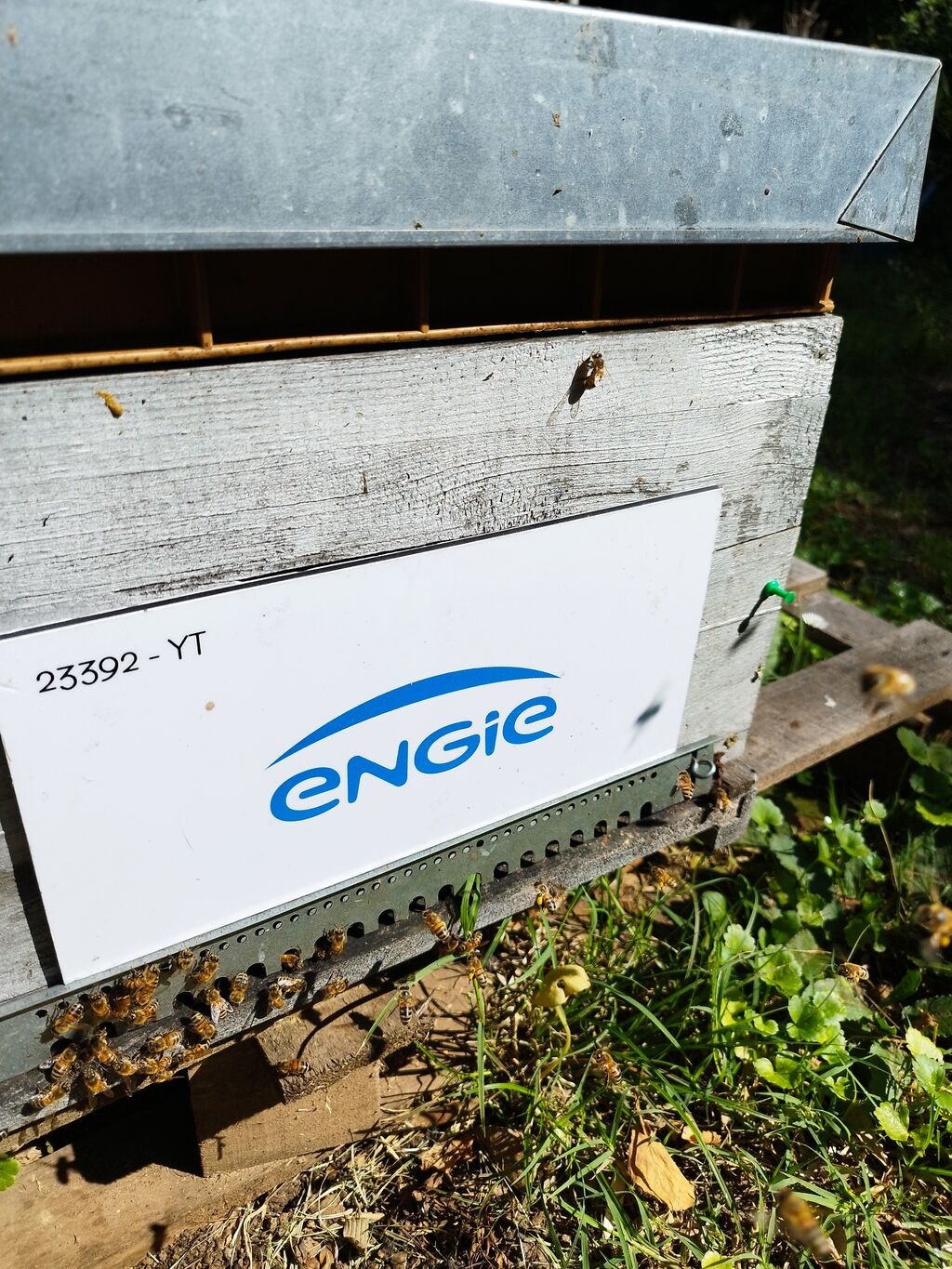 La ruche ENGIE - MPPA
