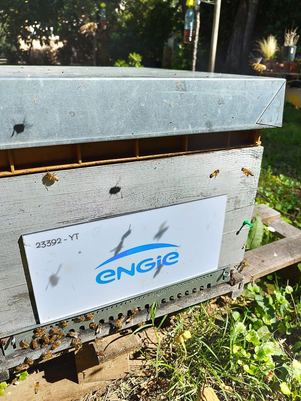La ruche ENGIE - MPPA