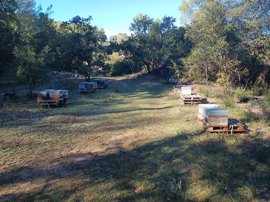 La ruche Adagio Aix en Provence