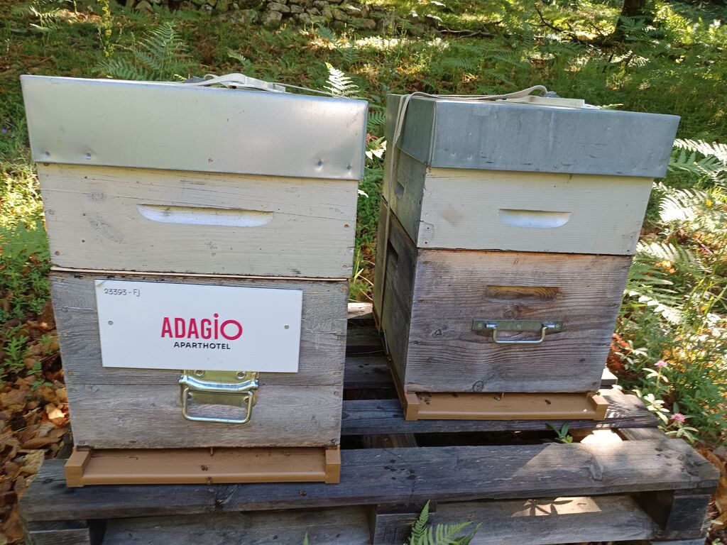 La ruche Adagio Aix en Provence