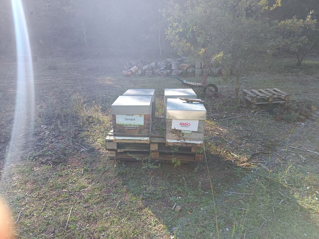 La ruche Adagio Aix en Provence