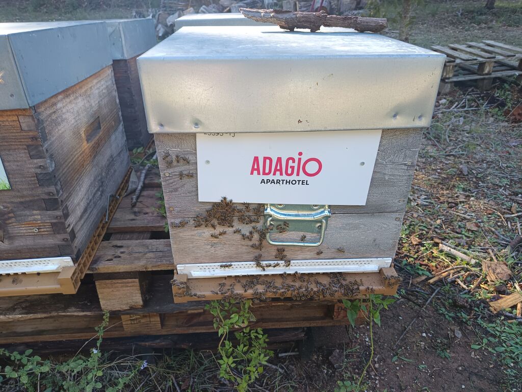 La ruche Adagio Aix en Provence