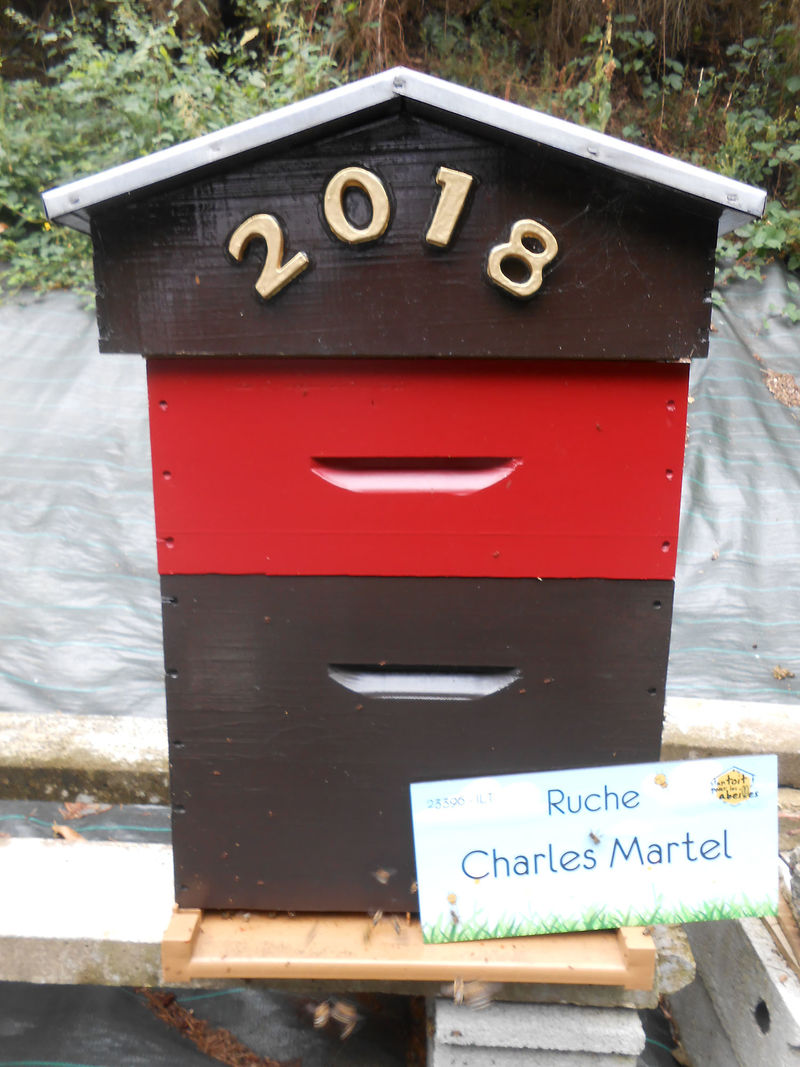 La ruche Charles Martel