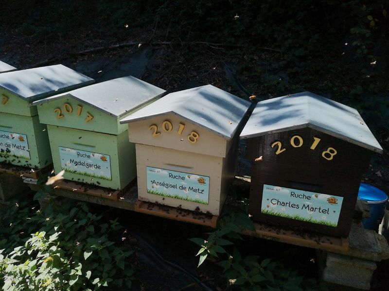 La ruche Charles Martel