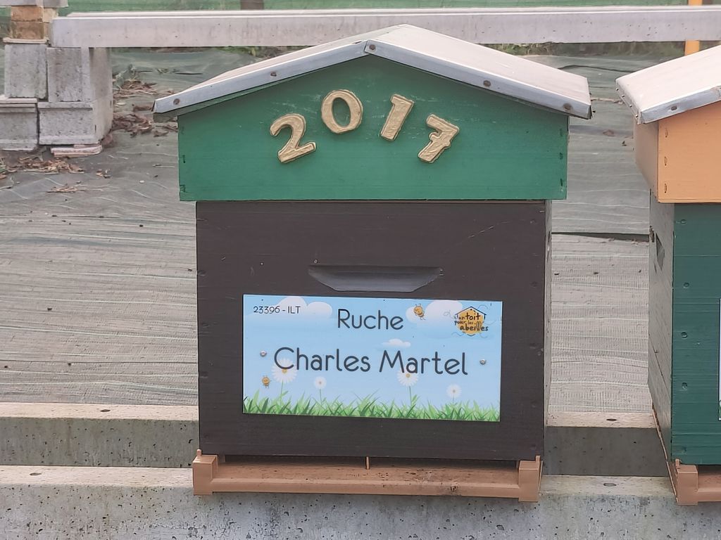 La ruche Charles Martel