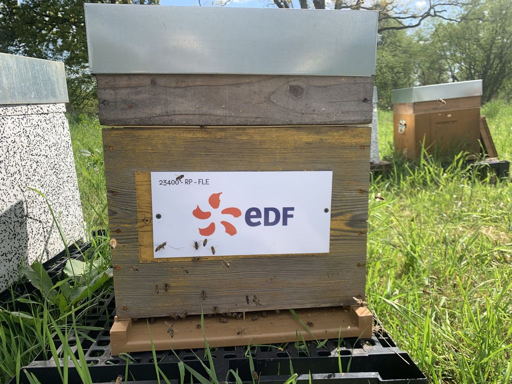 La ruche EDF / DTEAM / CIST -INGEUM 