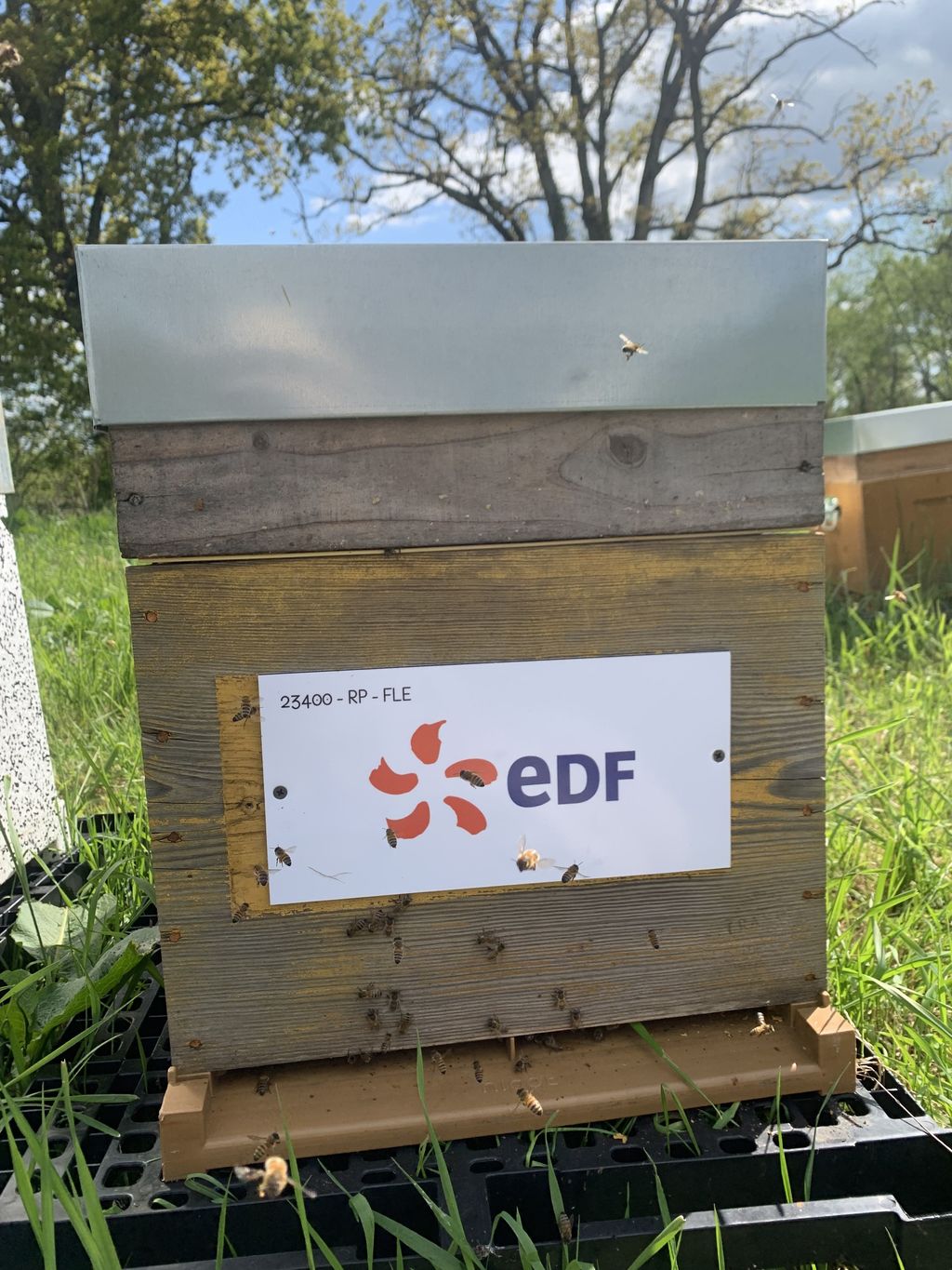 La ruche EDF / DTEAM / CIST -INGEUM 
