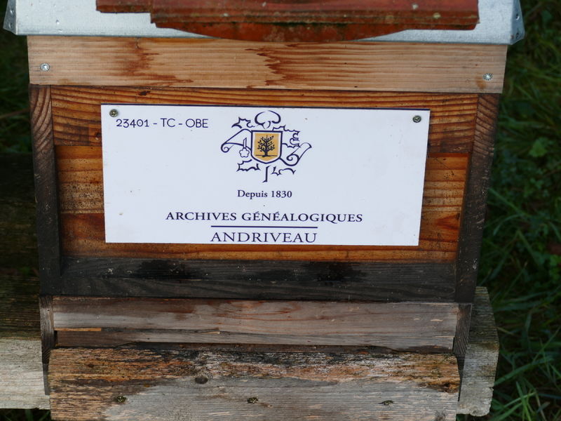La ruche Archives Généalogiques Andriveau Nancy