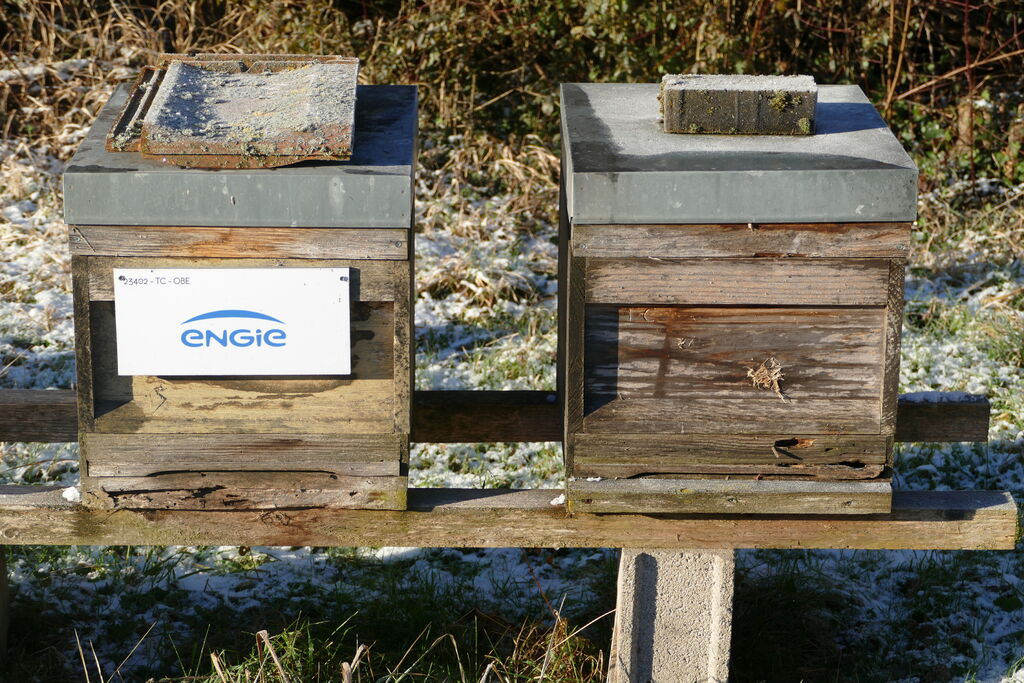 La ruche ENGIE - MPPA