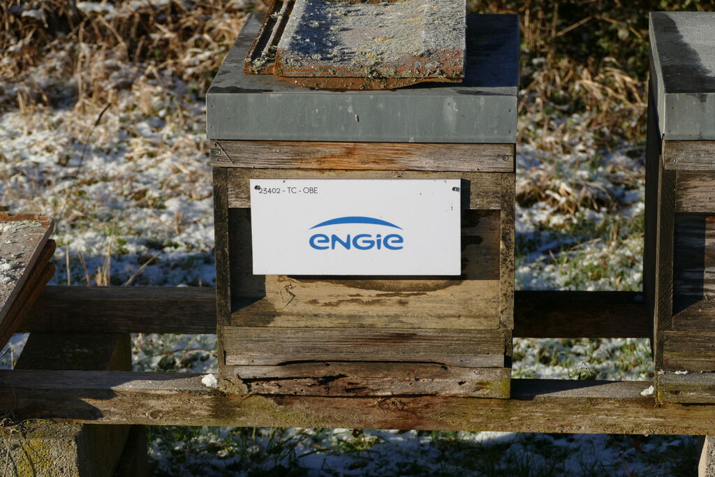 La ruche ENGIE - MPPA