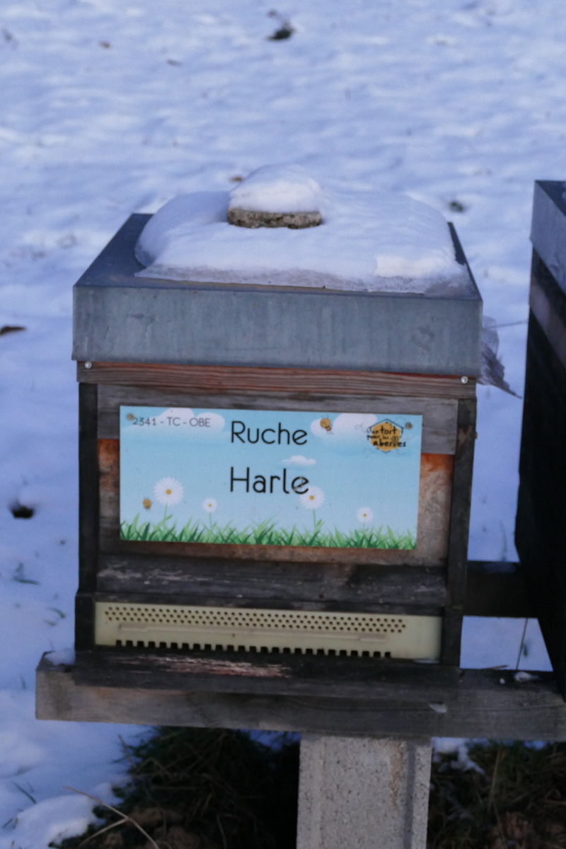 La ruche