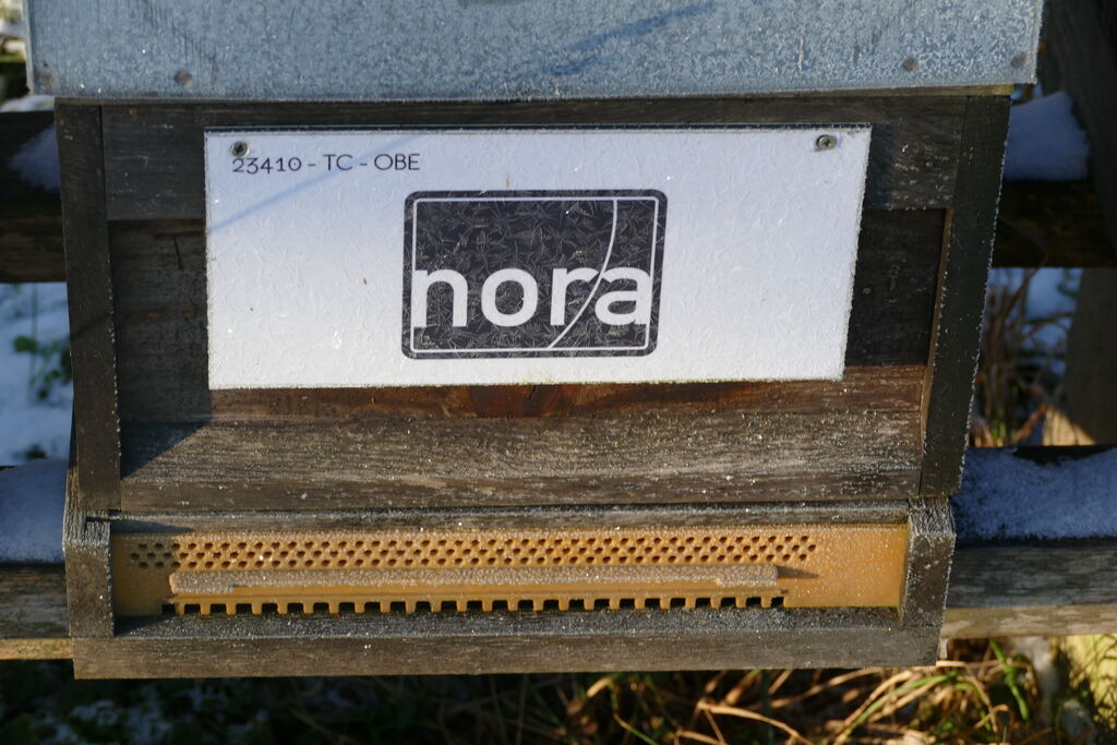 La ruche NORA DISTRIBUTION