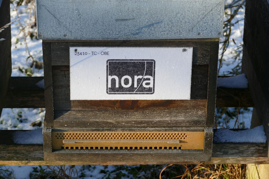 La ruche NORA DISTRIBUTION