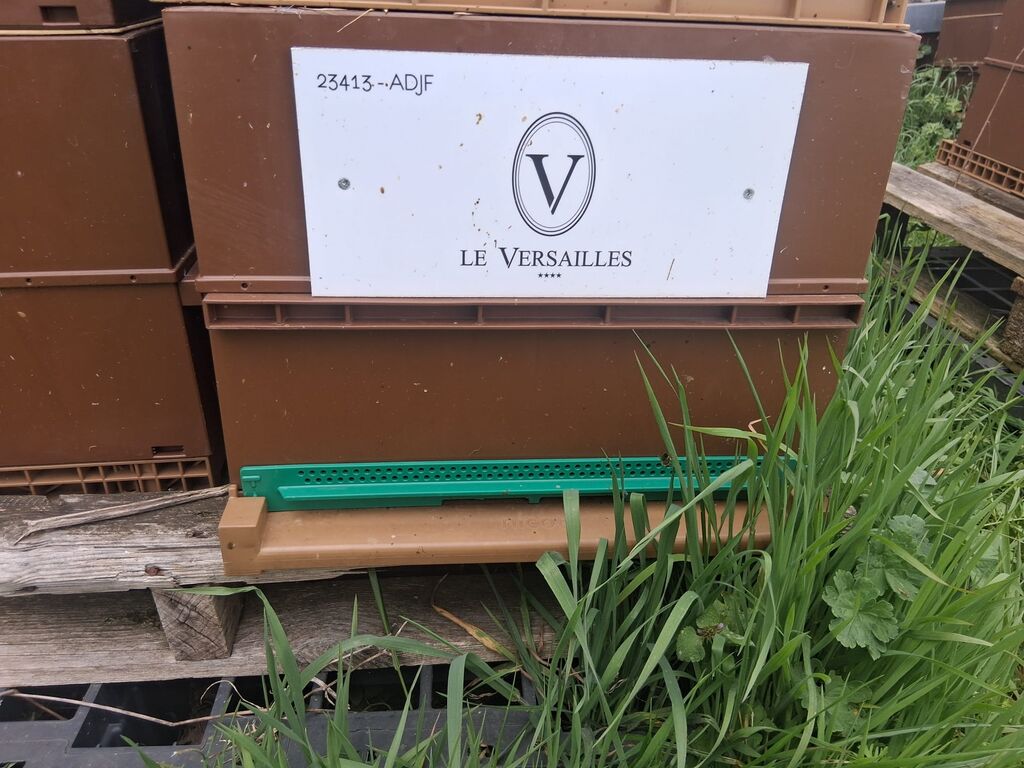 La ruche Hôtel LE VERSAILLES ****