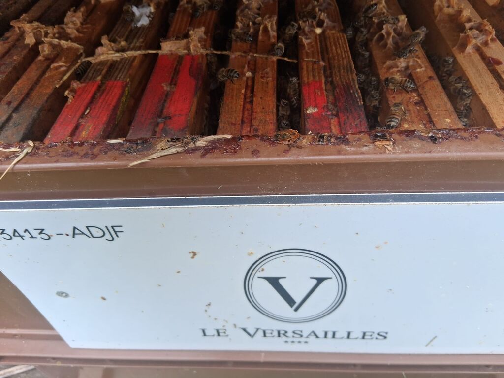 La ruche Hôtel LE VERSAILLES ****