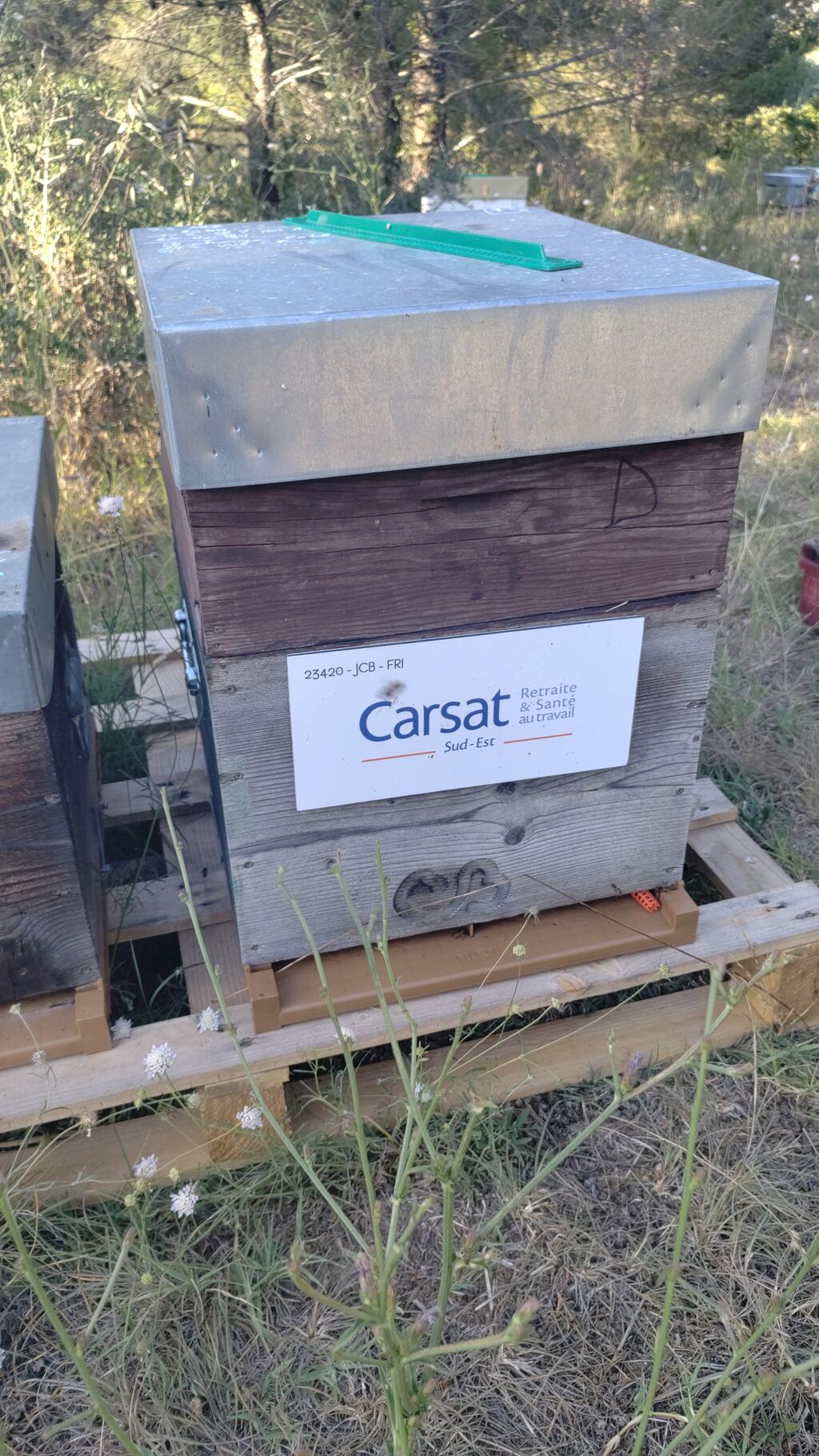 La ruche CARSAT Sud Est