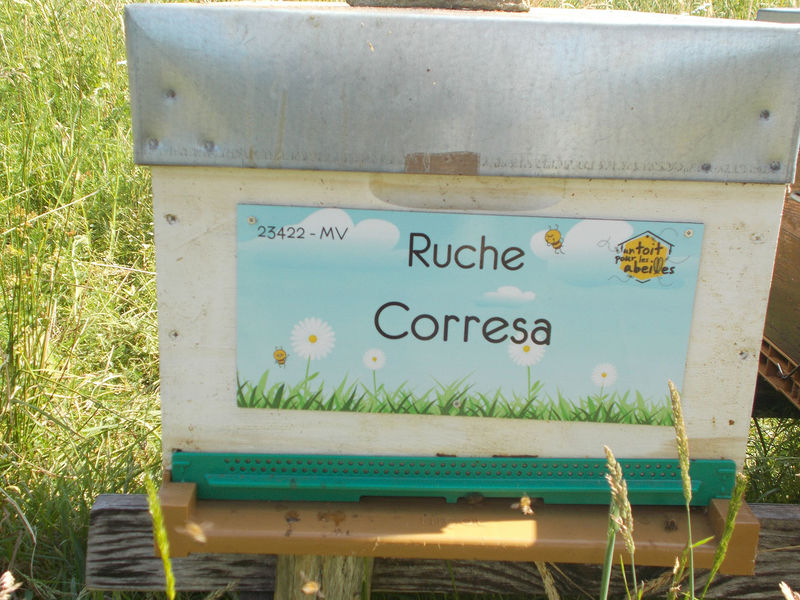La ruche Corresa