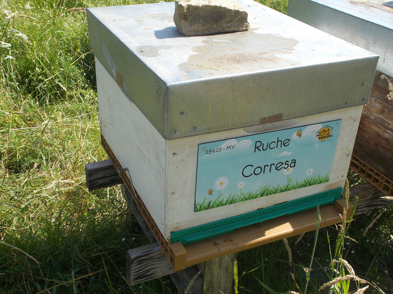 La ruche Corresa