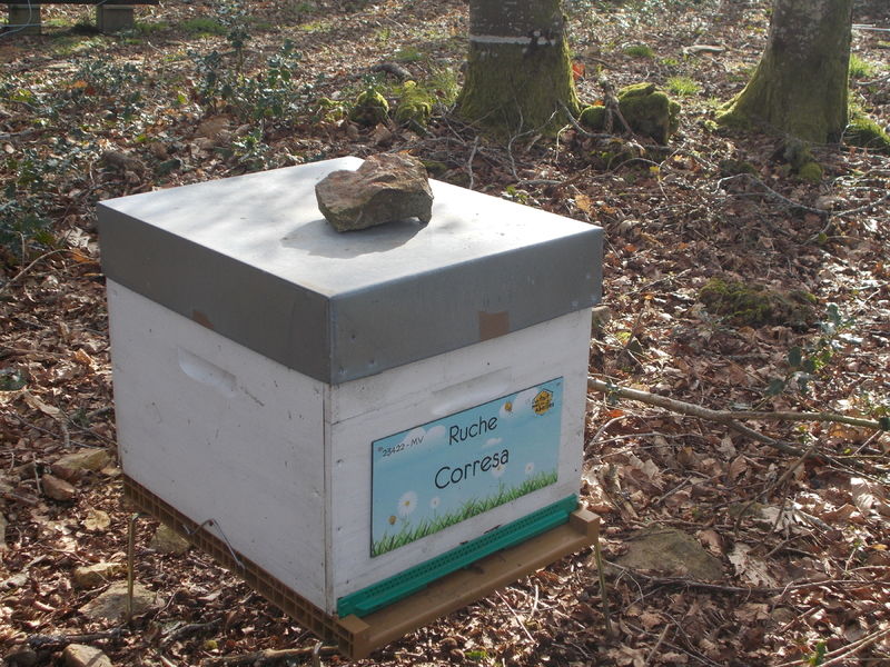 La ruche Corresa