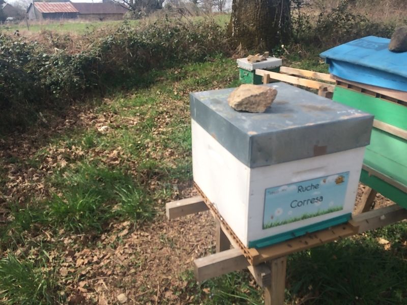 La ruche Corresa