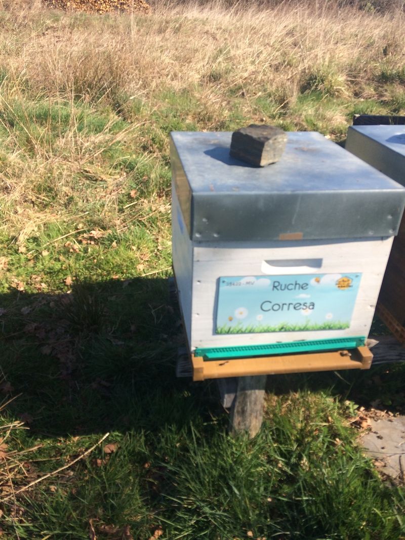 La ruche Corresa