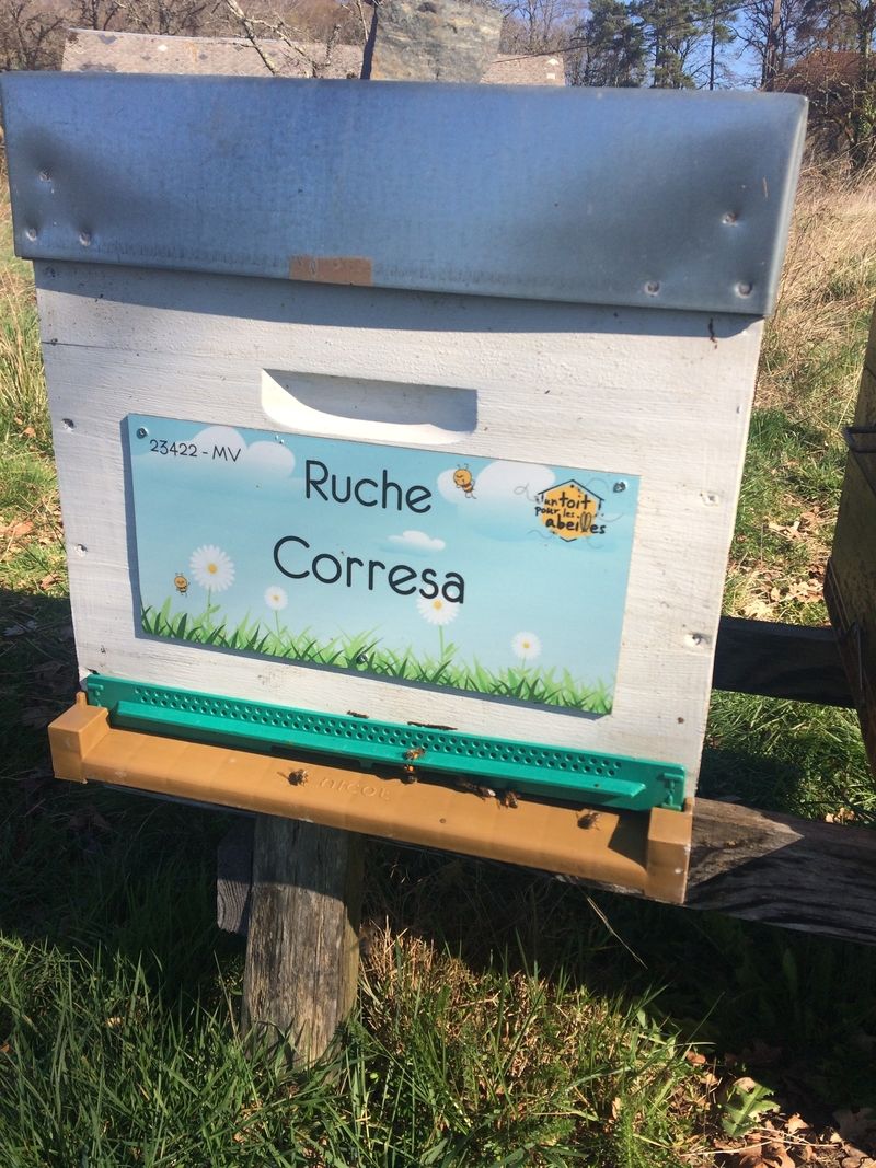 La ruche Corresa