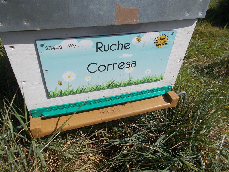 La ruche