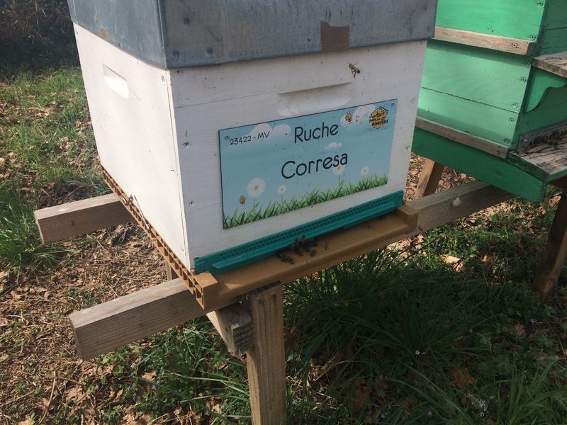 La ruche Corresa