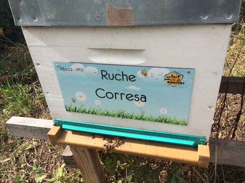 La ruche Corresa