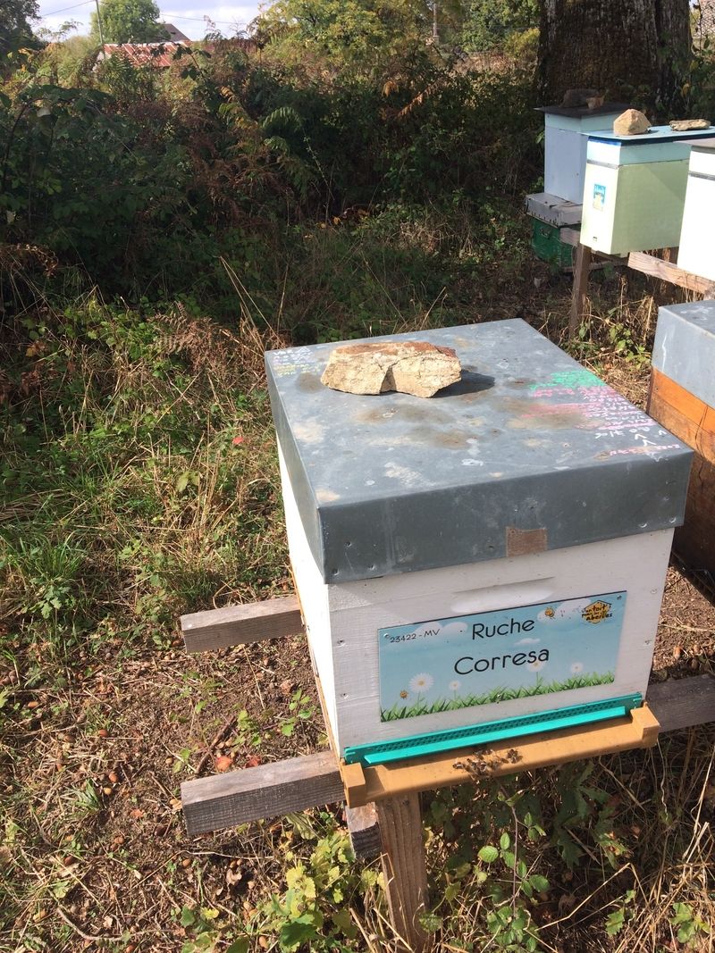 La ruche Corresa