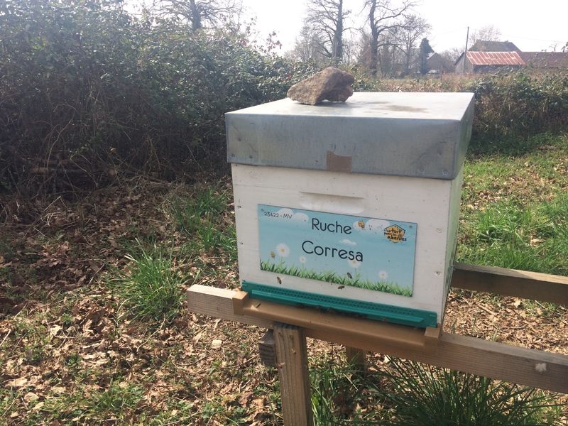 La ruche Corresa