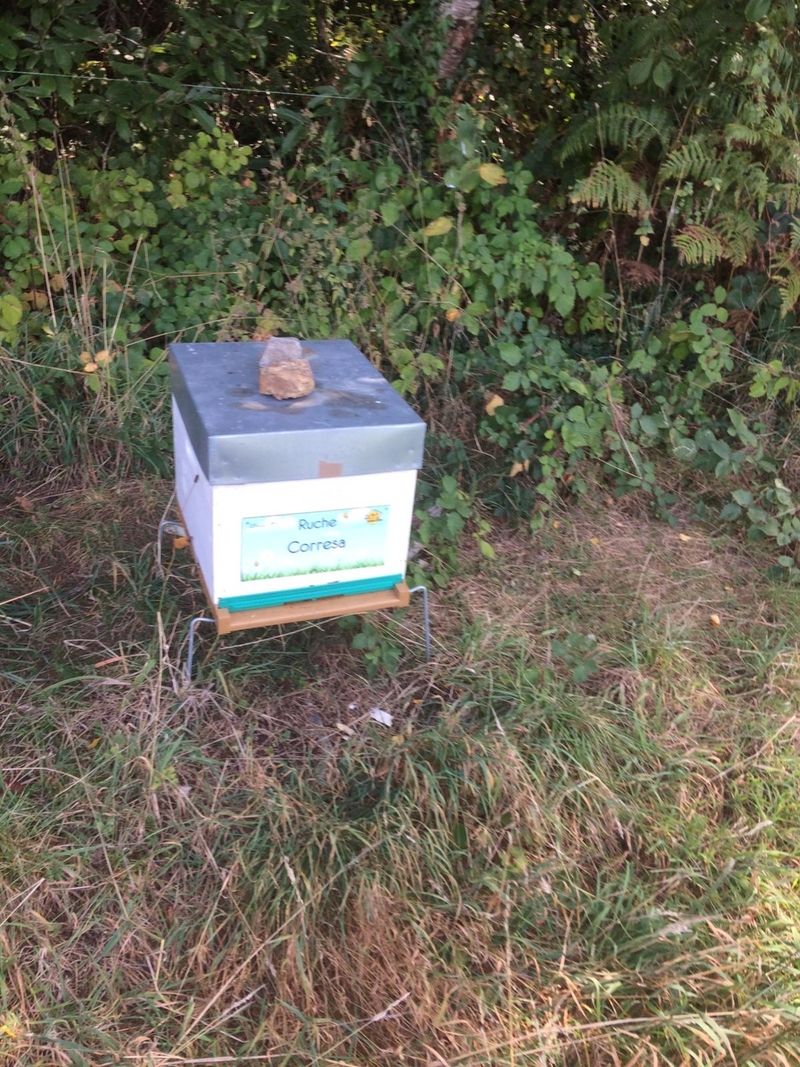 La ruche Corresa