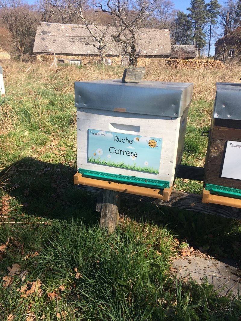 La ruche Corresa