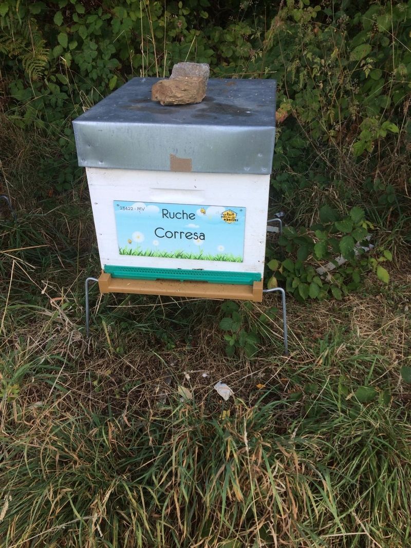 La ruche Corresa