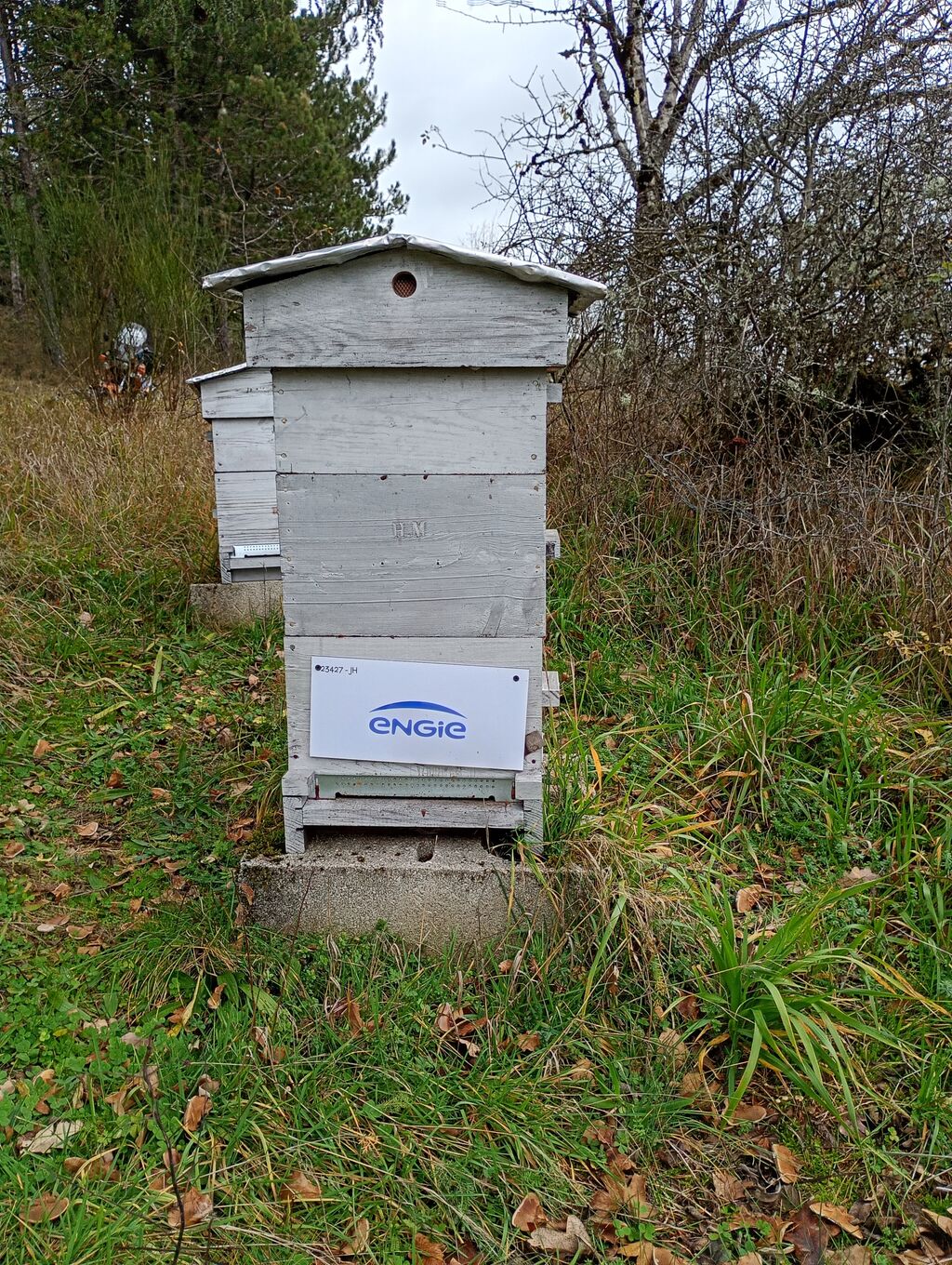 La ruche ENGIE - MPPA