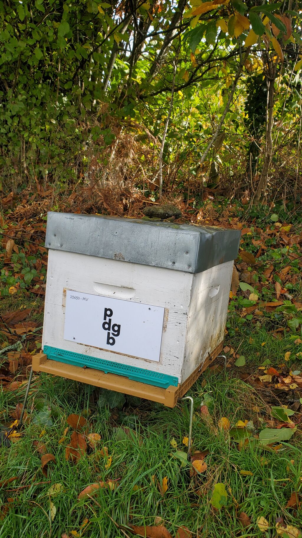 La ruche PDGB Avocats