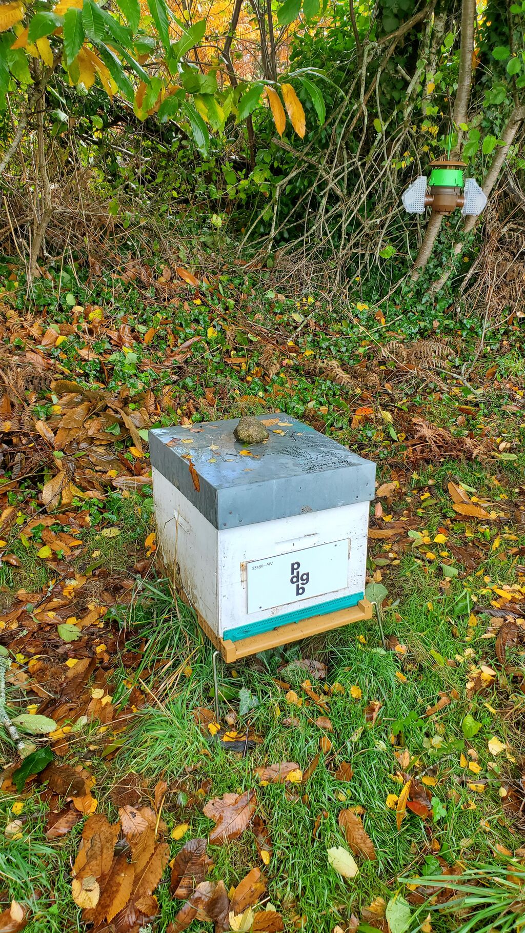 La ruche PDGB Avocats