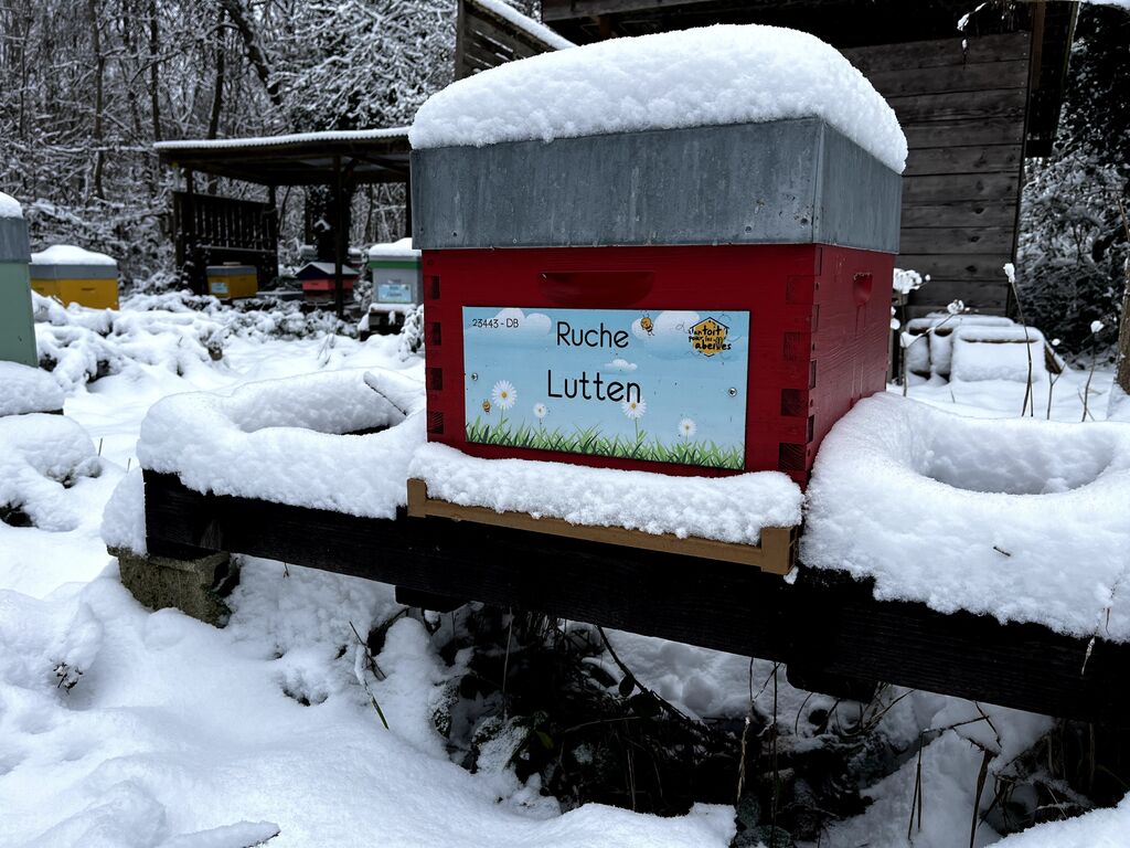 La ruche Lutten